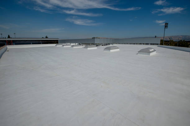 Best Roof Insulation Installation  in Waltham, MA